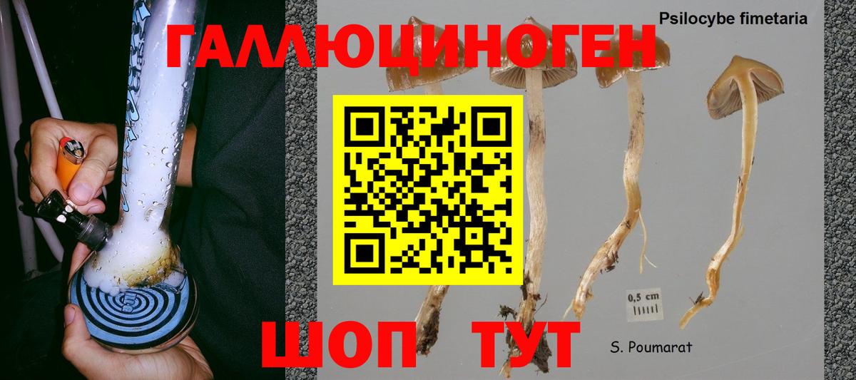 Псилоцибиновые грибы GOLDEN TEACHER  Вход с VPN  Альметьевск  Галлюциногенные грибы прущие грибы 